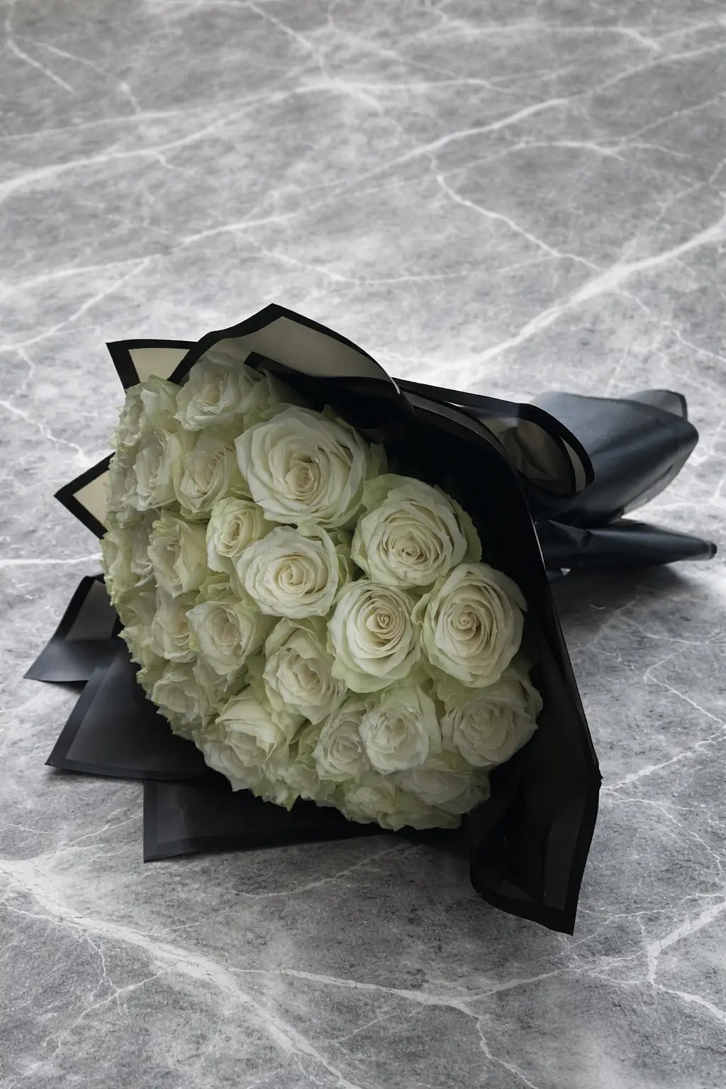 White Noir Roses